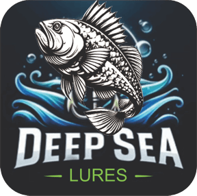 DSL Logo