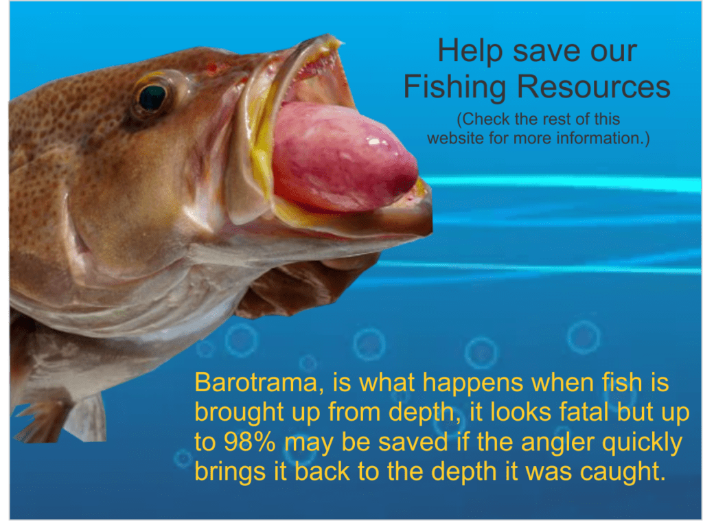 What Barotrama Does To Fish If Brought Up From Depth